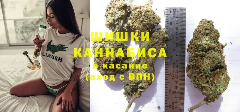 где найти наркотики  Дальнегорск  Бошки марихуана LSD WEED 